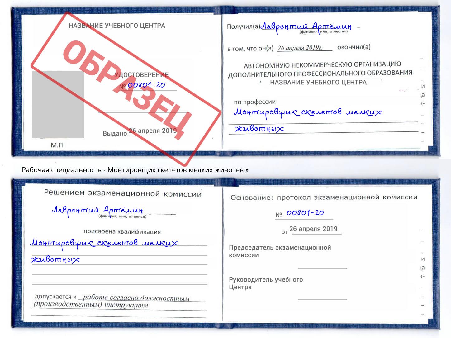 Монтировщик скелетов мелких животных Курган