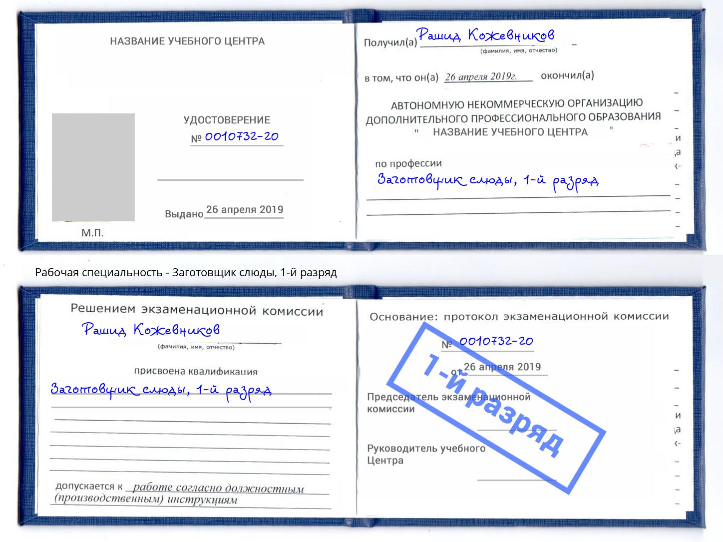 корочка 1-й разряд Заготовщик слюды Курган