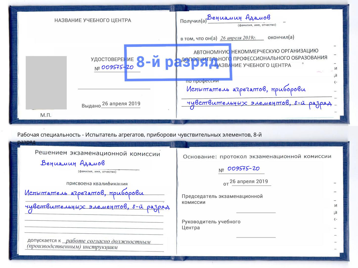 корочка 8-й разряд Испытатель агрегатов, приборови чувствительных элементов Курган
